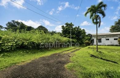 Vente Terrain 729m&sup2; L