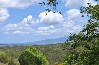 Vente Terrain 626m&sup2; Sainte Luce