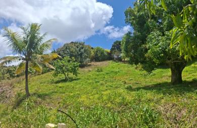 Vente Terrain 566m&sup2; Sainte Luce