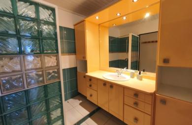 MAISON MEUBLEE, JUMELEE EN DUPLEX - TERREVILLE