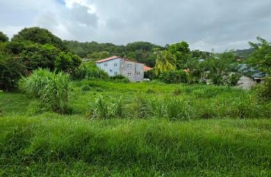 Vente Terrain 986m&sup2; Ducos