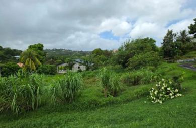 Vente Terrain 986m&sup2; Ducos