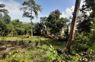 Vente Terrain 2634m² La Trinité