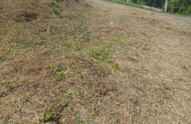 Vente Terrain 900m&sup2; Le François