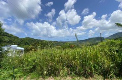 Vente Terrain 900m&sup2; Le François