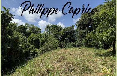Vente Terrain 1015m&sup2; Le Marin