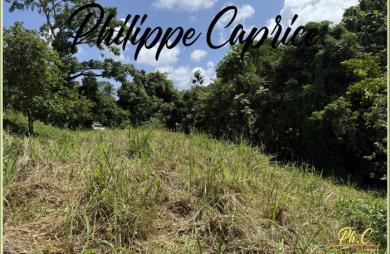 Vente Terrain 1015m&sup2; Le Marin