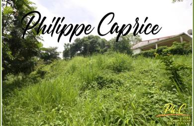 Vente Terrain 1015m&sup2; Le Marin