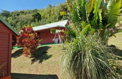 Vente Maison 1m² 10 pièces Saint Pierre