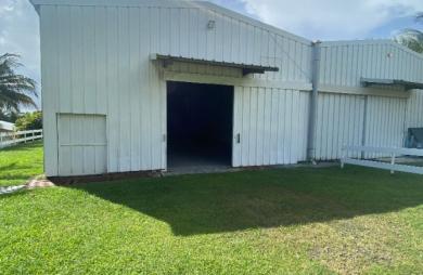 Location Entrepot 250m² Le Lamentin