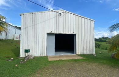 Location Entrepot 250m² Le Lamentin