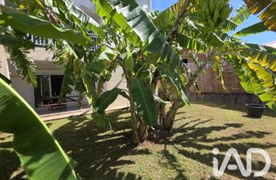 Vente Appartement 77m&sup2; 4 pièces Saint-Esprit