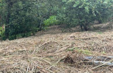 Vente Terrain 593m&sup2; Le Robert