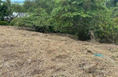 Vente Terrain 593m&sup2; Le Robert