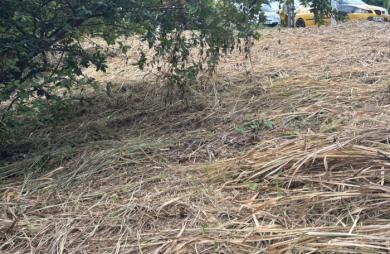 Vente Terrain 593m&sup2; Le Robert