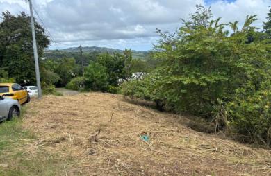 Vente Terrain 593m&sup2; Le Robert