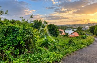 Vente Terrain 1673m² Le Marigot