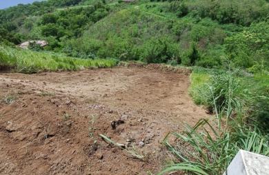 Vente Terrain 908m&sup2; Le Carbet
