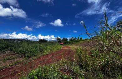 Vente Terrain 1328m² Saint-Esprit