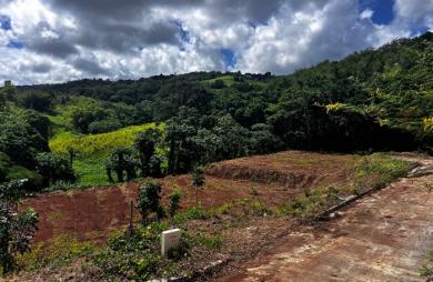 Vente Terrain 1264m² Saint-Esprit