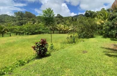 Vente Immeuble 184m&sup2; 9 pièces Le Morne Rouge