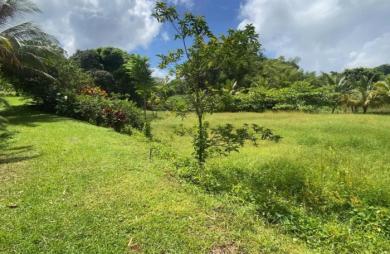 Vente Immeuble 184m&sup2; 9 pièces Le Morne Rouge