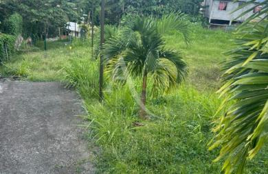 Vente Terrain 549m² Fort de france