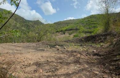 Vente Terrain 1000m&sup2; Les Anses d