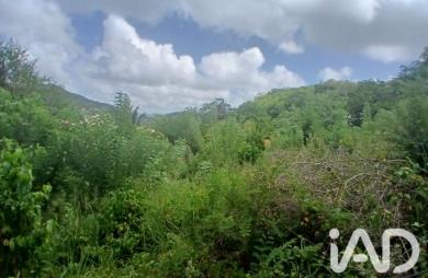Vente Terrain 800m&sup2; Rivière Pilote