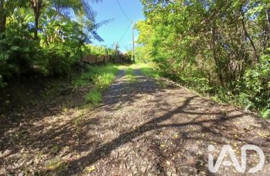 Vente Terrain 800m&sup2; Rivière Pilote