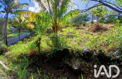 Vente Terrain 800m&sup2; Rivière Pilote