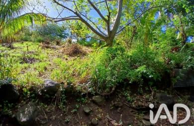 Vente Terrain 800m&sup2; Rivière Pilote