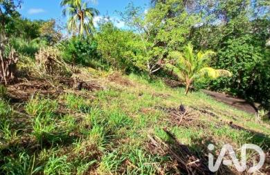 Vente Terrain 800m&sup2; Rivière Pilote