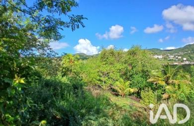 Vente Terrain 800m&sup2; Rivière Pilote