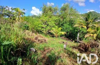 Vente Terrain 800m&sup2; Rivière Pilote