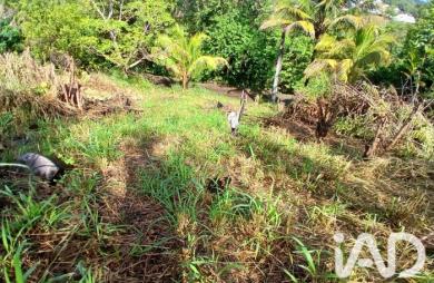 Vente Terrain 800m&sup2; Rivière Pilote