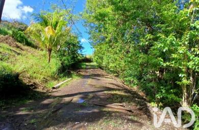 Vente Terrain 800m&sup2; Rivière Pilote