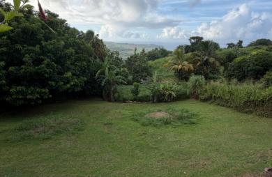 Vente Terrain 444m&sup2; Sainte Marie