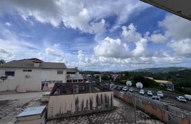 Vente Appartement 35.03m² 1 pièce Ducos