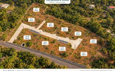 Ducos — Les Jardins d’Henia — Lot 04 — 522 m²