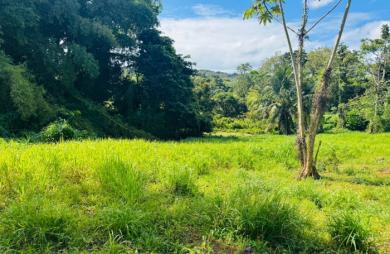 Vente Terrain 1866m&sup2; Ducos