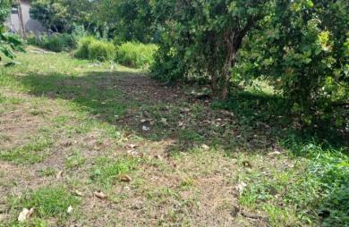 Vente Terrain Ducos