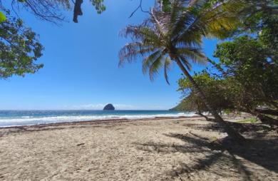 T2 Meublé à 2 pas de la plage - Le Diamant