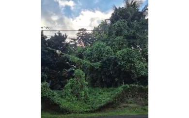 Saint-Joseph — Terrain plat 756 m² proche du bourg