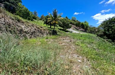Vente Terrain 707m&sup2; Sainte Luce