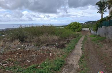 Vente Terrain Saint Gilles les Bains