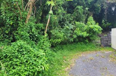 Vente Terrain Sainte Anne