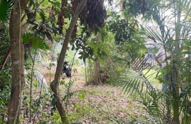 Vente Terrain 2000m&sup2; La Montagne