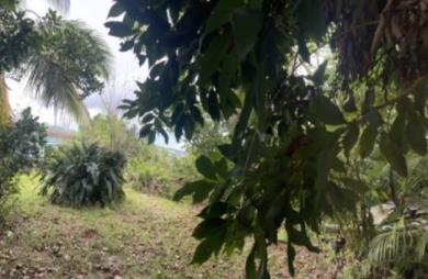 Vente Terrain 2000m&sup2; La Montagne