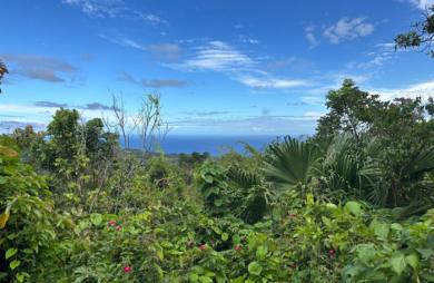 Vente Terrain 2000m&sup2; La Montagne